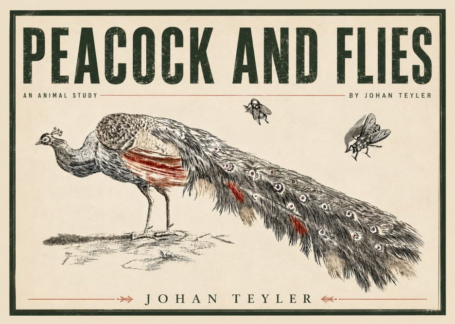 Johan Teyler Peacock and Flies - Animal Study No5 - Poszter