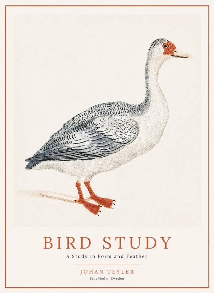 Johan Teyler Goose Study No2 - Poszter