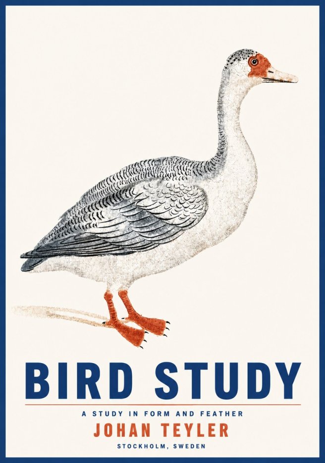 Johan Teyler Goose Study No5 - Poszter