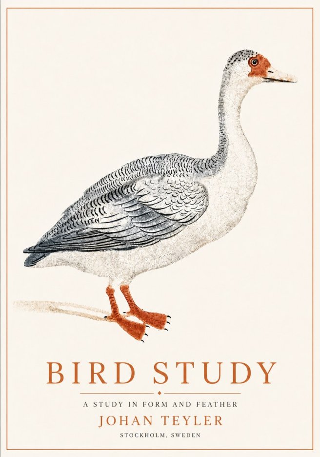 Johan Teyler Goose Study No6 - Poszter