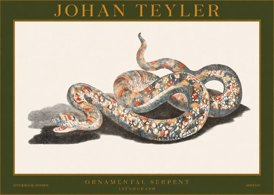 Johan Teyler Ornamental Serpent No1 - Poszter