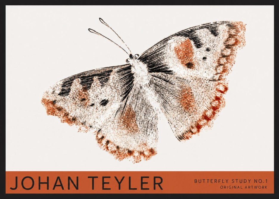 Johan Teyler Butterfly Study No.1 No2 - Poszter