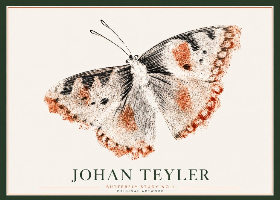 Johan Teyler Butterfly Study No.1 No3 - Poszter