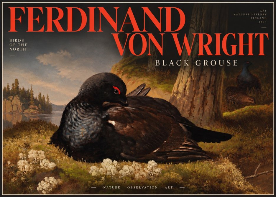 Ferdinand von Wright The Black Grouse No4 - Poszter
