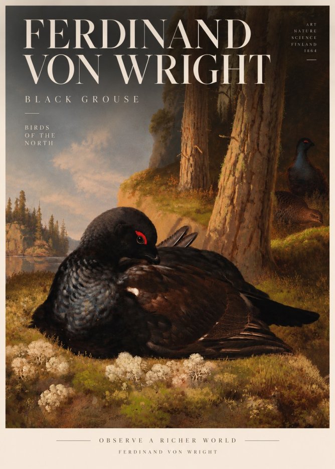 Ferdinand von Wright The Black Grouse No5 - Poszter