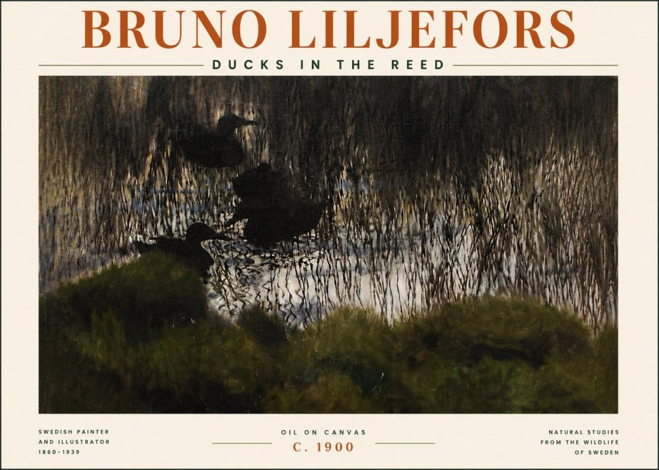 Bruno Liljefors Ducks in the Reed No5 - Poszter