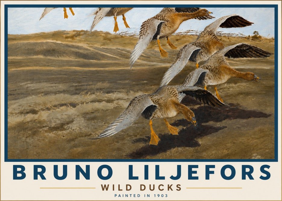 Bruno Liljefors Wild Ducks I No5 - Poszter