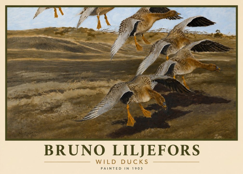 Bruno Liljefors Wild Ducks I No6 - Poszter