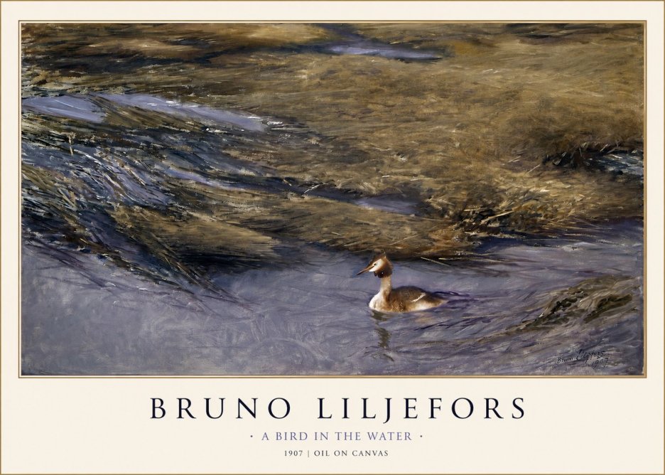 Bruno Liljefors A Bird in the Water No1 - Poszter
