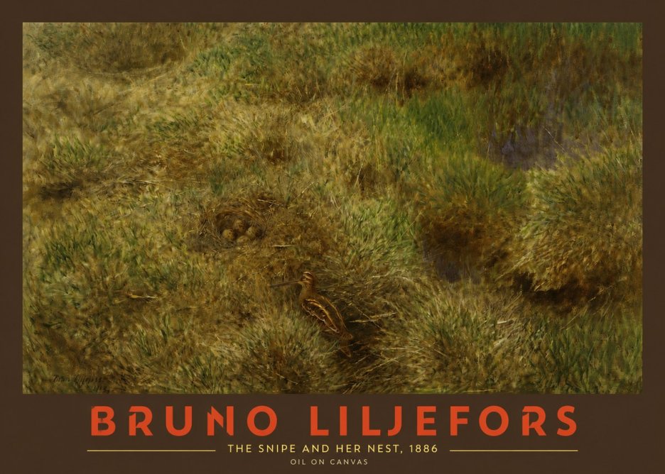 Bruno Liljefors The Snipe and Her Nest No2 - Poszter