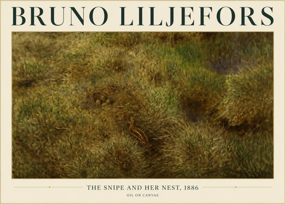 Bruno Liljefors The Snipe and Her Nest No3 - Poszter