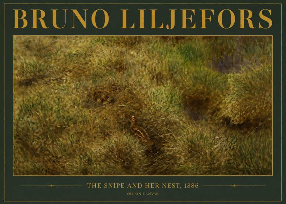 Bruno Liljefors The Snipe and Her Nest No4 - Poszter