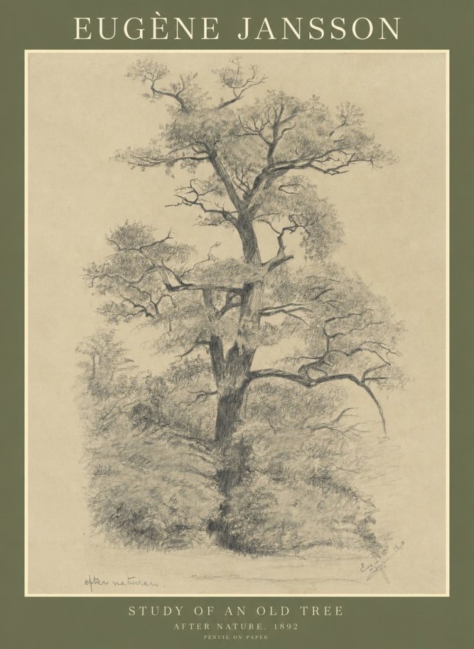 Eugène Jansson Study of an Old Tree No1 - Poszter