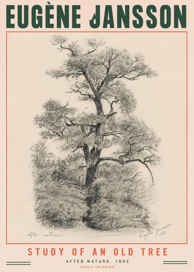 Eugène Jansson Study of an Old Tree No3 - Poszter