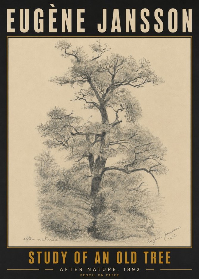 Eugène Jansson Study of an Old Tree No5 - Poszter