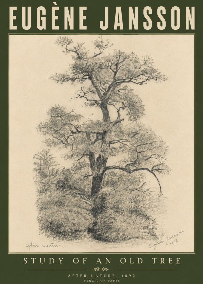 Eugène Jansson Study of an Old Tree No6 - Poszter
