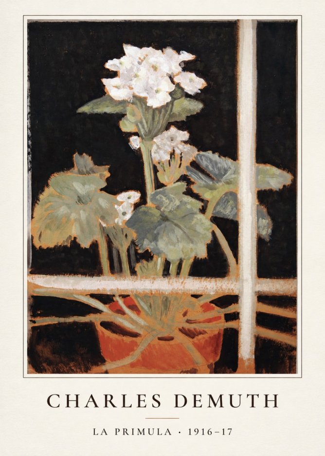 Charles Demuth La Primula No4 - Poszter