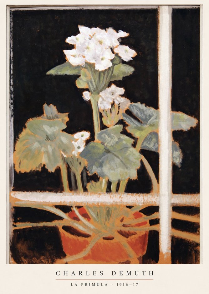 Charles Demuth La Primula No6 - Poszter
