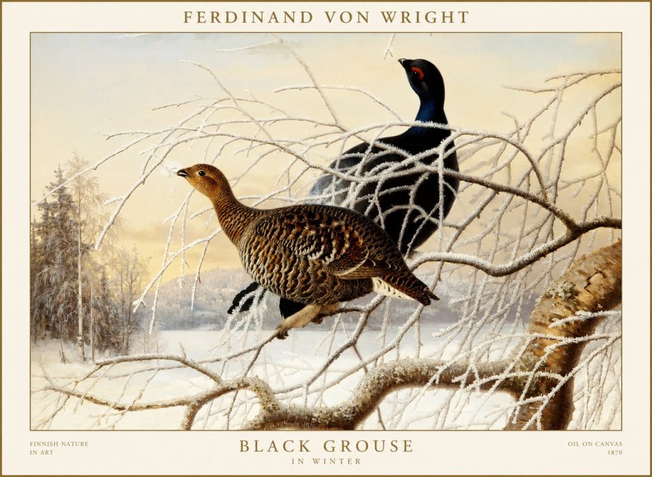 Ferdinand von Wright Black Grouse in Winter No1 - Poszter