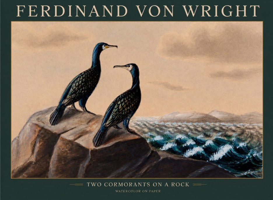 Ferdinand von Wright Two Cormorants on a Rock No1 - Poszter