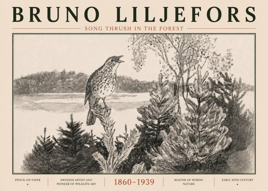 Bruno Liljefors Song Thrush in the Forest No5 - Poszter