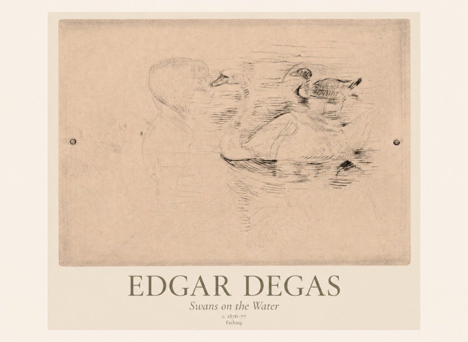 Edgar Degas Swans on the Water No1 - Poszter