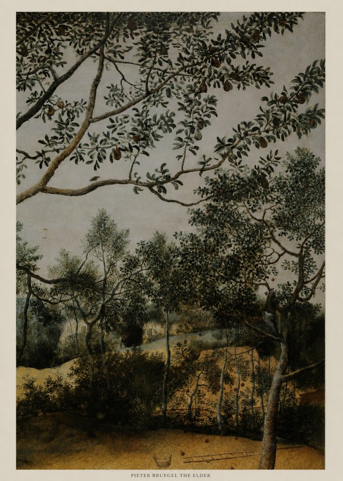 Pieter Bruegel Branch of a Pear Tree No5 - Poszter
