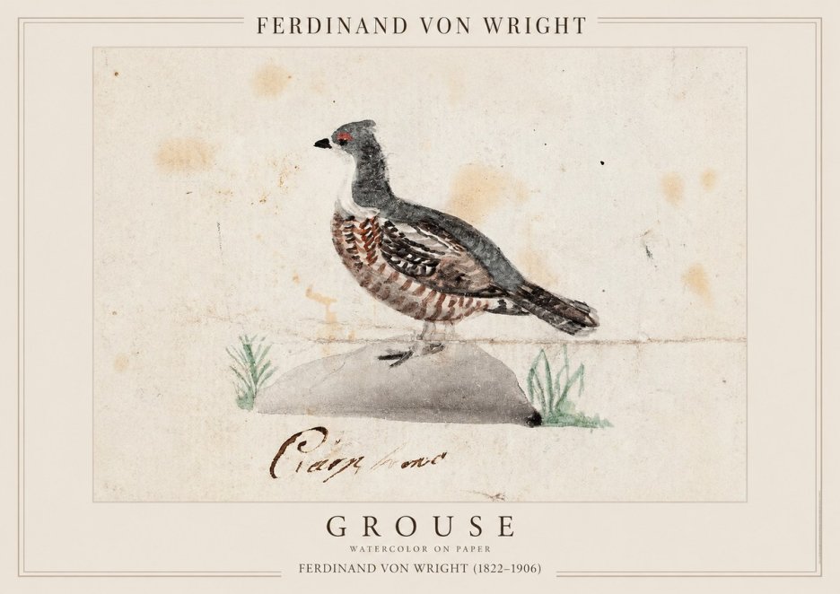 Ferdinand von Wright Grouse No1 - Poszter