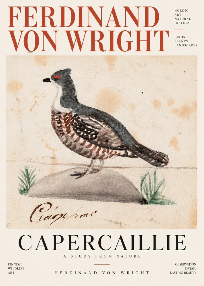 Ferdinand von Wright Grouse No4 - Poszter