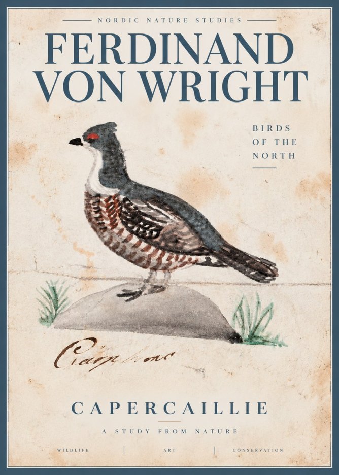 Ferdinand von Wright Grouse No5 - Poszter