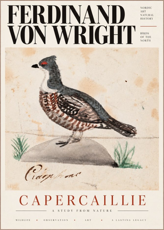 Ferdinand von Wright Grouse No6 - Poszter