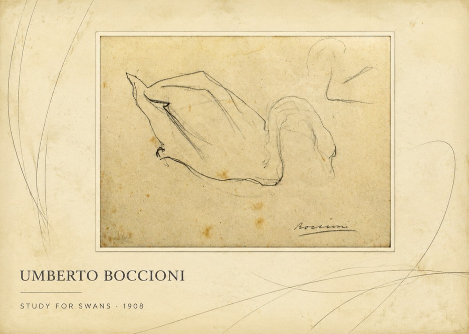 Umberto Boccioni Study for Swans No2 - Poszter