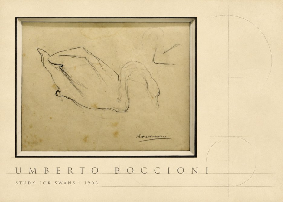 Umberto Boccioni Study for Swans No4 - Poszter