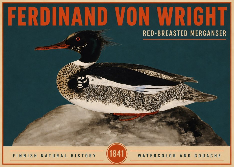 Ferdinand von Wright Red-breasted Merganser No2 - Poszter