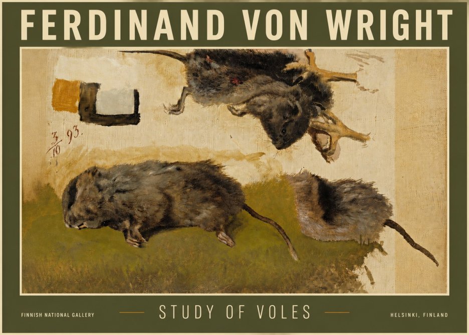 Ferdinand von Wright Studies of Lemmings No6 - Poszter