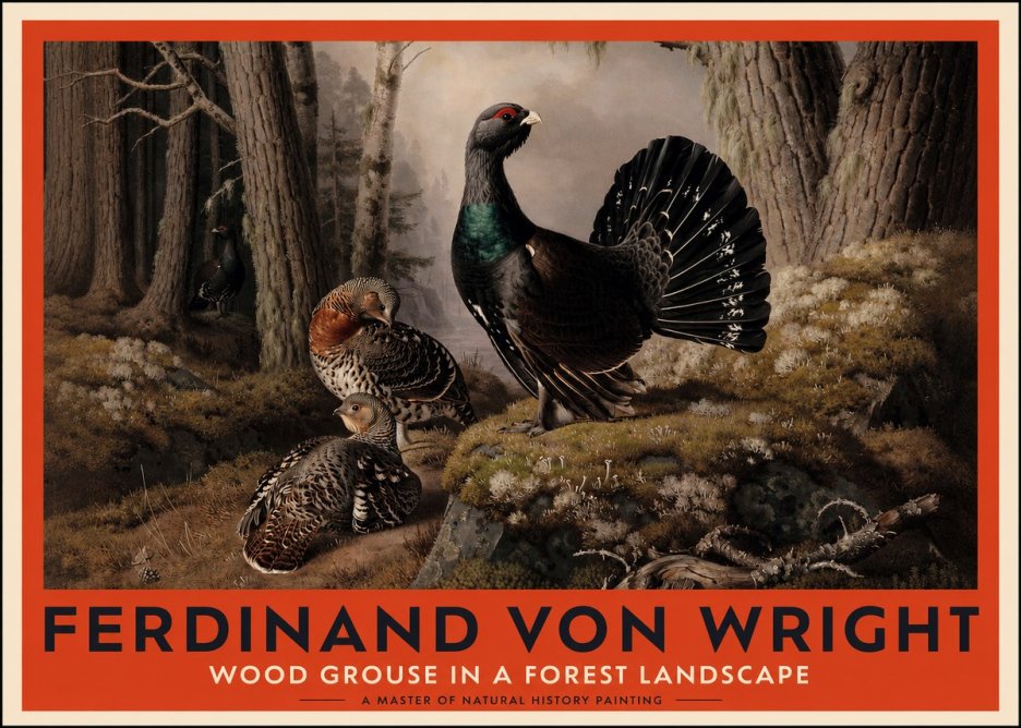 Ferdinand von Wright Wood Grouse in a Forest Landscape No2 - Poszter