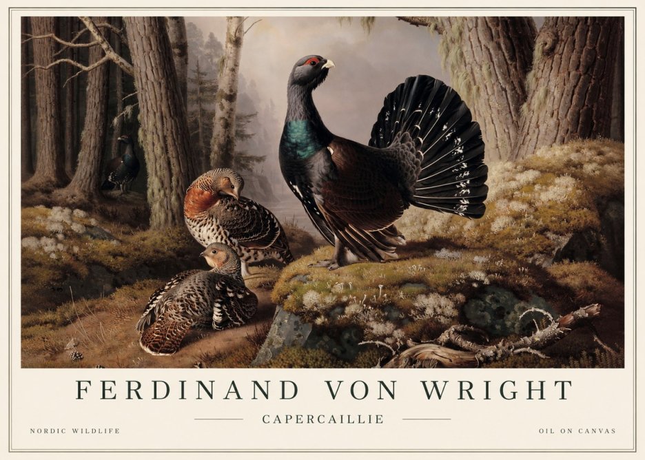 Ferdinand von Wright Wood Grouse in a Forest Landscape No5 - Poszter
