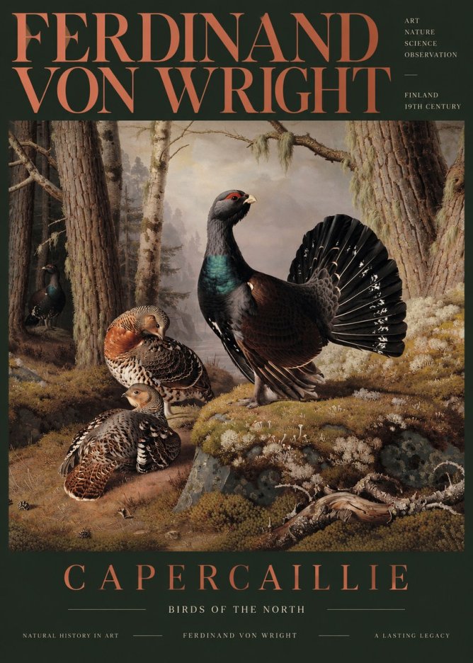 Ferdinand von Wright Wood Grouse in a Forest Landscape No6 - Poszter
