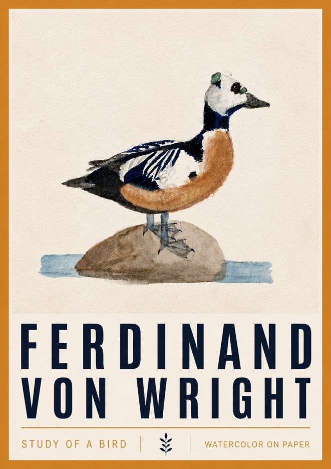 Ferdinand von Wright Study of a Bird No4 - Poszter