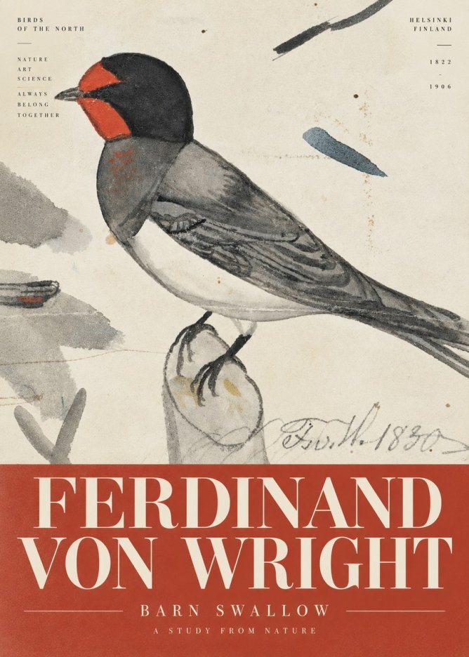 Ferdinand von Wright The Swallow No6 - Poszter