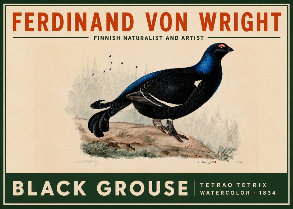 Ferdinand von Wright Black Grouse No2 - Poszter