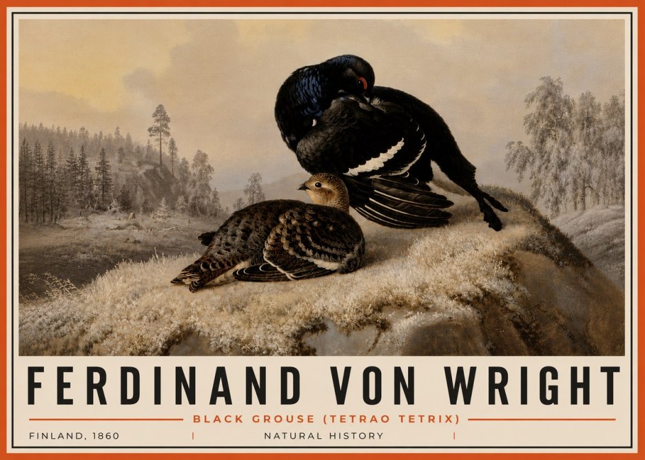 Ferdinand von Wright Black Grouse (Tetrao Tetrix) No6 - Poszter