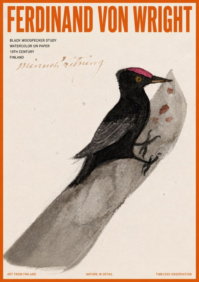 Ferdinand von Wright Black Woodpecker Study No5 - Poszter
