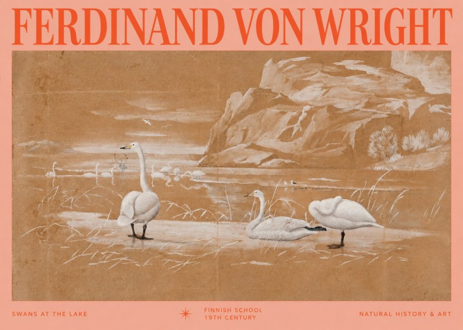 Ferdinand von Wright Swans at the Lake No2 - Poszter