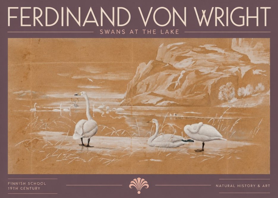 Ferdinand von Wright Swans at the Lake No5 - Poszter
