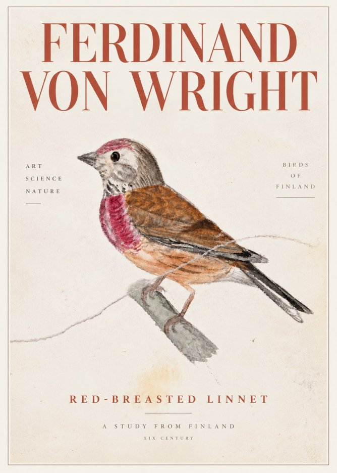 Ferdinand von Wright Bird Study No5 - Poszter