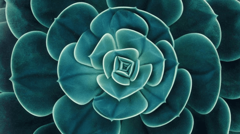 Uploaded
wallpaper