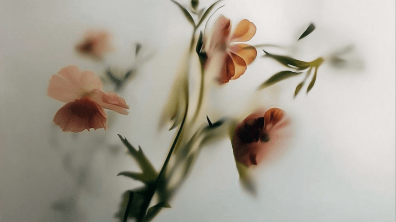 Uploaded
wallpaper