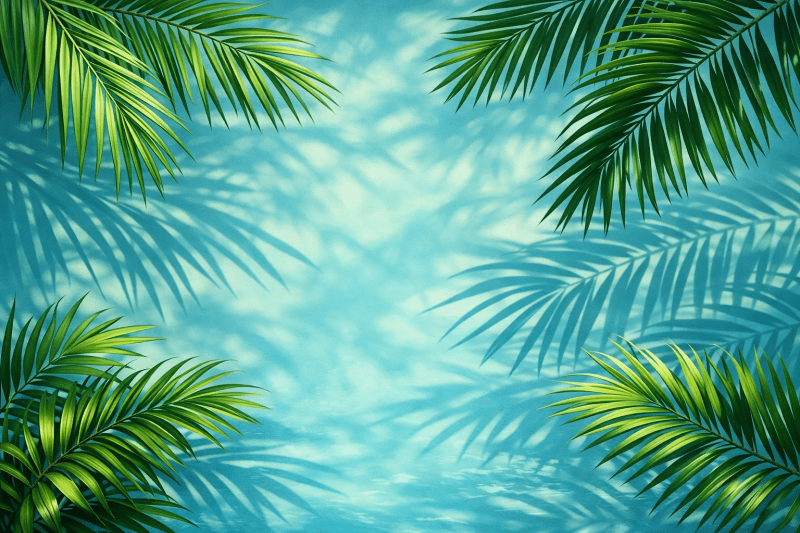 Uploaded
wallpaper