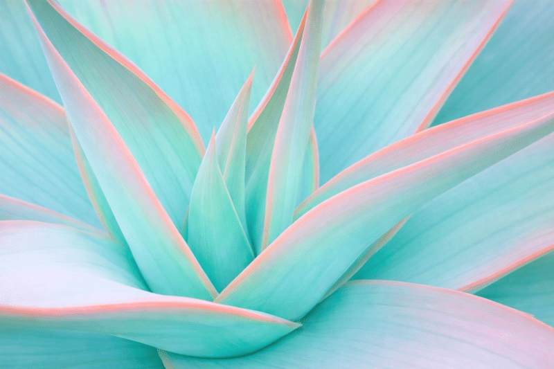 Uploaded
wallpaper